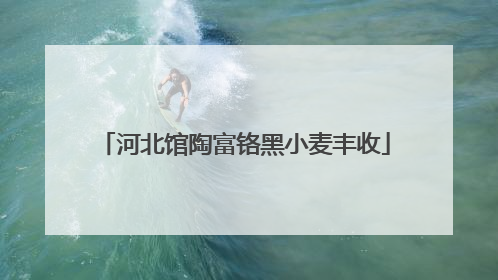 河北馆陶富铬黑小麦丰收