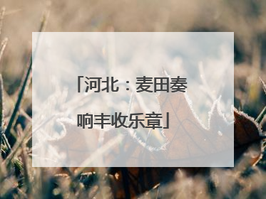 河北：麦田奏响丰收乐章