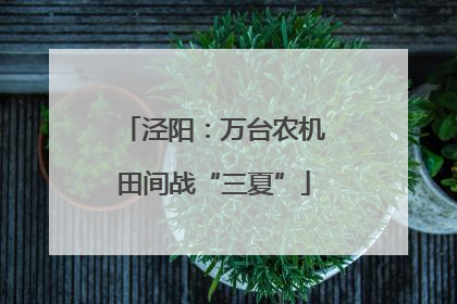 泾阳：万台农机田间战“三夏”