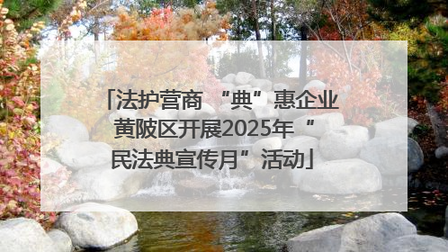 法护营商 “典”惠企业 黄陂区开展2025年“民法典宣传月”活动