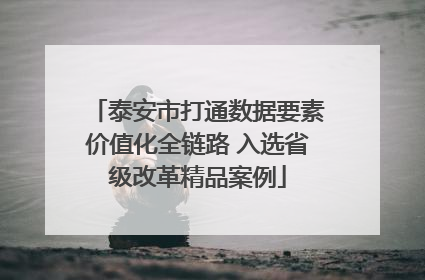 泰安市打通数据要素价值化全链路 入选省级改革精品案例