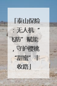 泰山保险：无人机“飞防”赋能，守护樱桃“甜蜜”丰收路