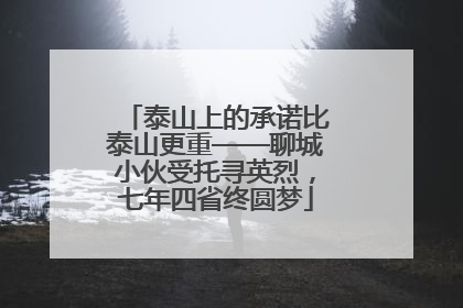 泰山上的承诺比泰山更重——聊城小伙受托寻英烈，七年四省终圆梦