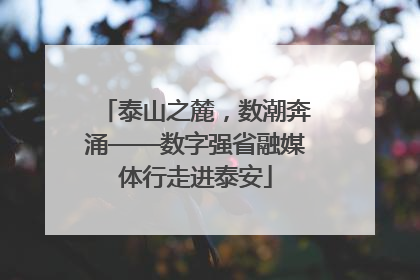 泰山之麓，数潮奔涌——数字强省融媒体行走进泰安