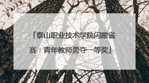 泰山职业技术学院闪耀省赛：青年教师勇夺一等奖