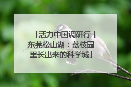 活力中国调研行丨东莞松山湖：荔枝园里长出来的科学城