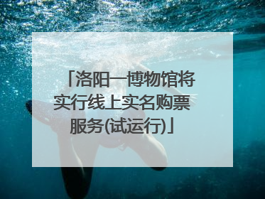 洛阳一博物馆将实行线上实名购票服务(试运行)