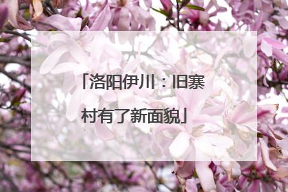 洛阳伊川：旧寨村有了新面貌