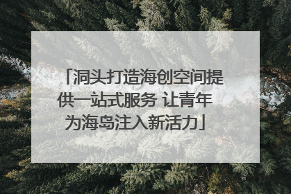 洞头打造海创空间提供一站式服务 让青年为海岛注入新活力