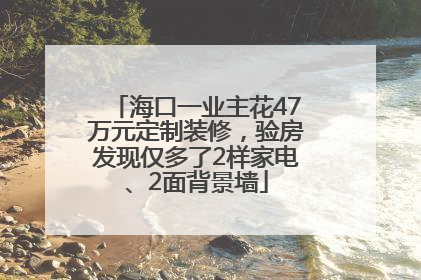 海口一业主花47万元定制装修，验房发现仅多了2样家电、2面背景墙