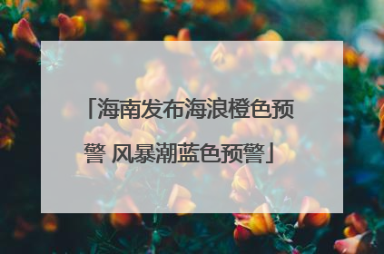 海南发布海浪橙色预警 风暴潮蓝色预警