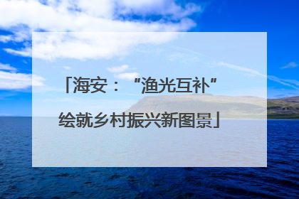 海安：“渔光互补” 绘就乡村振兴新图景