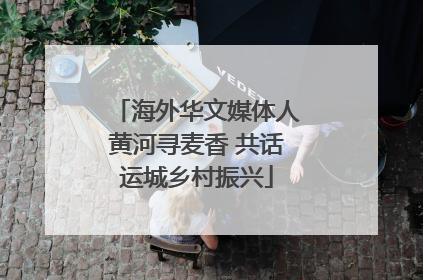 海外华文媒体人黄河寻麦香 共话运城乡村振兴