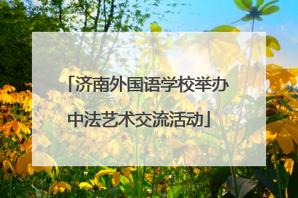 济南外国语学校举办中法艺术交流活动