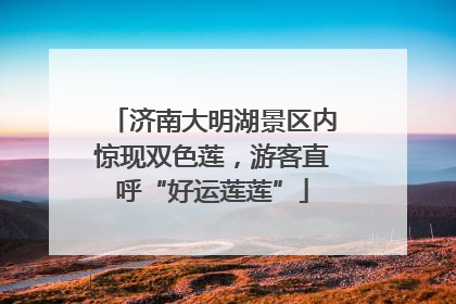 济南大明湖景区内惊现双色莲，游客直呼“好运莲莲”