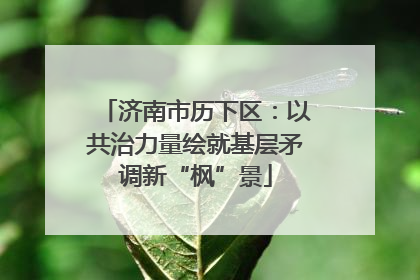 济南市历下区：以共治力量绘就基层矛调新“枫”景