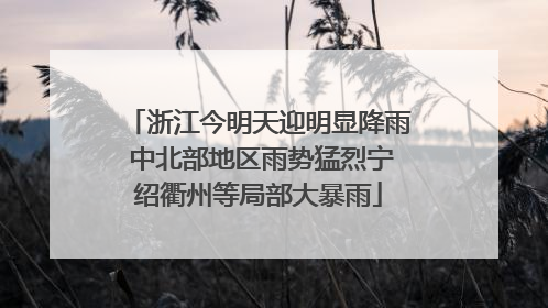 浙江今明天迎明显降雨 中北部地区雨势猛烈宁绍衢州等局部大暴雨