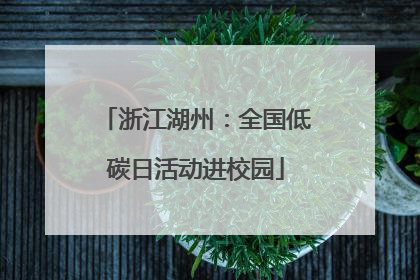 浙江湖州：全国低碳日活动进校园