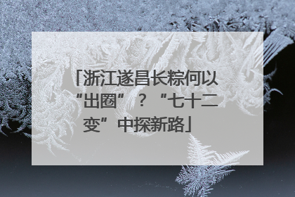 浙江遂昌长粽何以“出圈”？“七十二变”中探新路