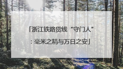 浙江铁路货线“守门人”：毫米之精与万日之安