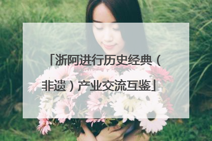 浙阿进行历史经典（非遗）产业交流互鉴
