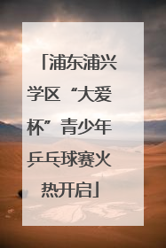 浦东浦兴学区“大爱杯”青少年乒乓球赛火热开启