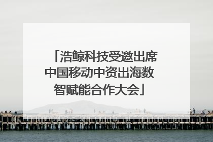 浩鲸科技受邀出席中国移动中资出海数智赋能合作大会