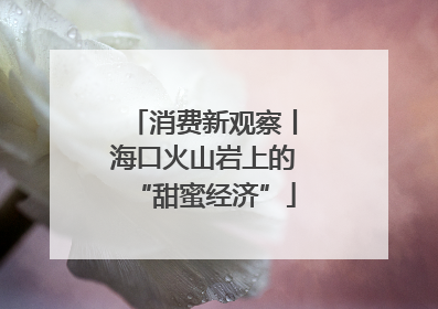 消费新观察丨海口火山岩上的“甜蜜经济”