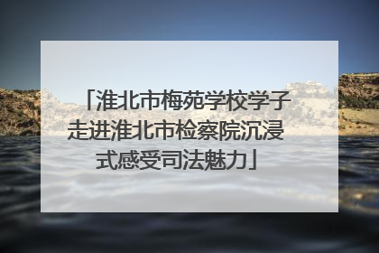 淮北市梅苑学校学子走进淮北市检察院沉浸式感受司法魅力