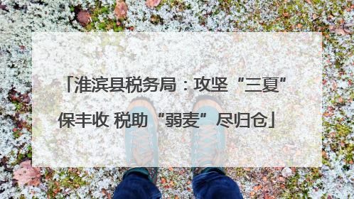 淮滨县税务局：攻坚“三夏”保丰收 税助“弱麦”尽归仓