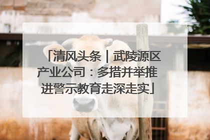 清风头条｜武陵源区产业公司：多措并举推进警示教育走深走实