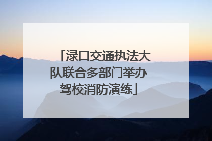 渌口交通执法大队联合多部门举办驾校消防演练