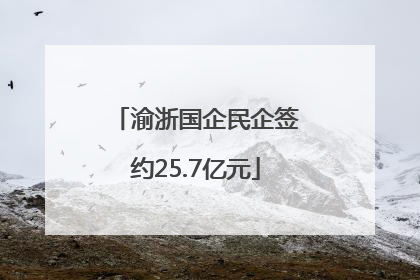 渝浙国企民企签约25.7亿元