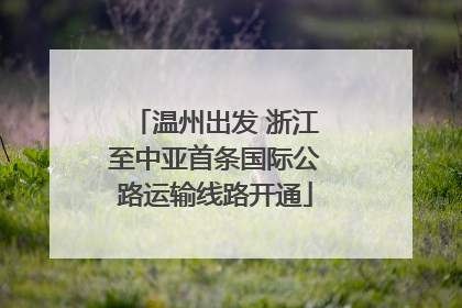 温州出发 浙江至中亚首条国际公路运输线路开通