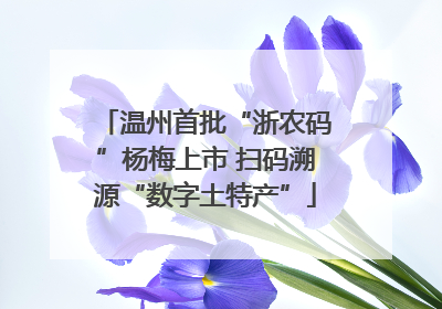温州首批“浙农码”杨梅上市 扫码溯源“数字土特产”