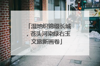 湿地织锦缀长城，苍头河染绿右玉文旅新画卷