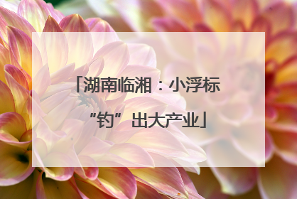 湖南临湘：小浮标“钓”出大产业