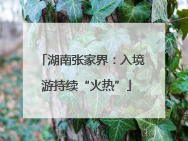 湖南张家界：入境游持续“火热”