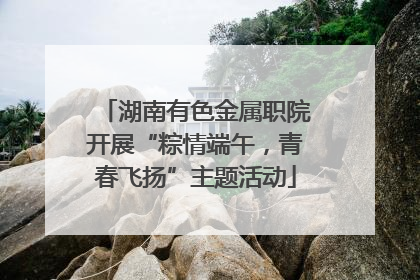 湖南有色金属职院开展“粽情端午，青春飞扬”主题活动