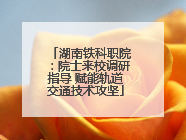 湖南铁科职院：院士来校调研指导 赋能轨道交通技术攻坚