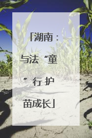 湖南：与法“童”行 护苗成长