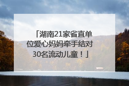 湖南21家省直单位爱心妈妈牵手结对30名流动儿童！