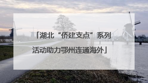 湖北“侨建支点”系列活动助力鄂州连通海外