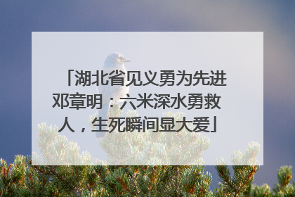 湖北省见义勇为先进邓章明：六米深水勇救人，生死瞬间显大爱