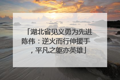 湖北省见义勇为先进陈伟：逆火而行伸援手，平凡之躯亦英雄