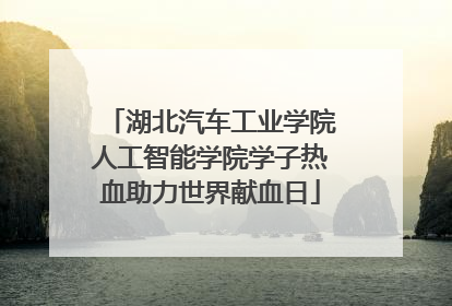 湖北汽车工业学院人工智能学院学子热血助力世界献血日