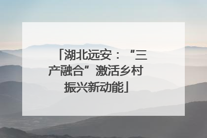湖北远安：“三产融合”激活乡村振兴新动能