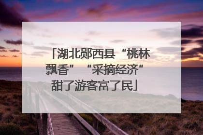 湖北郧西县“桃林飘香”“采摘经济”甜了游客富了民