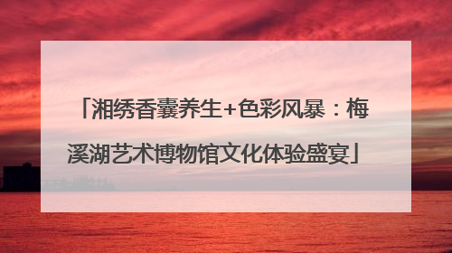 湘绣香囊养生+色彩风暴：梅溪湖艺术博物馆文化体验盛宴