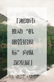 湘潭市推动“机器管招投标”向纵深发展